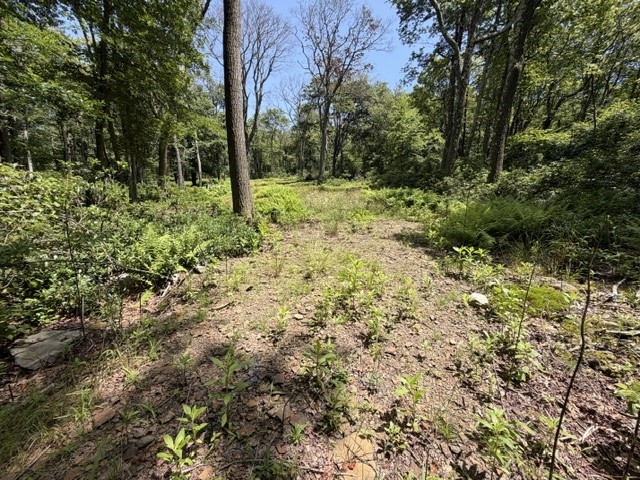 Lot 87 Laurel — photo 7