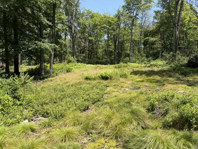 Lot 87 Laurel — photo 8
