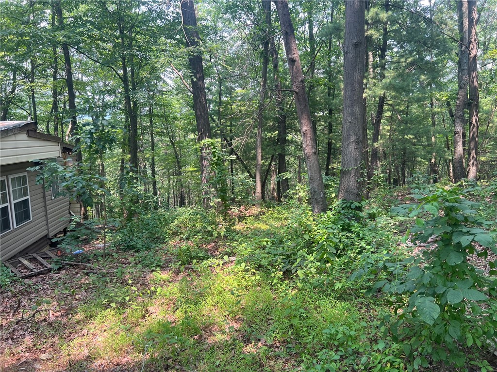 6927 Chaneysville Rd — photo 1
