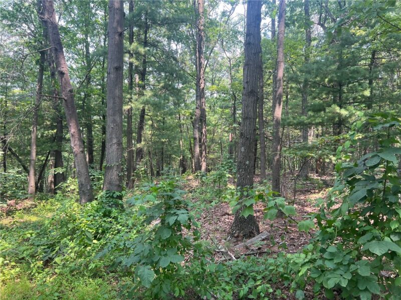 6927 Chaneysville Rd — photo 2