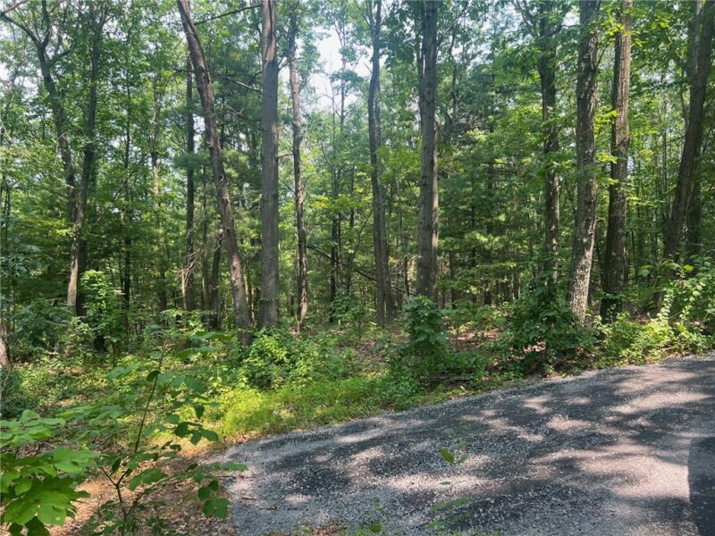 6927 Chaneysville Rd — photo 3