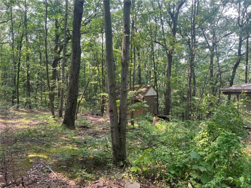 6927 Chaneysville Rd — photo 4