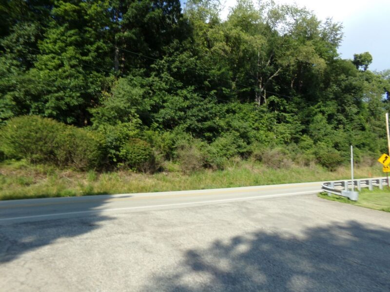 Lot 17 Wildlife Lodge ROAD — photo 4