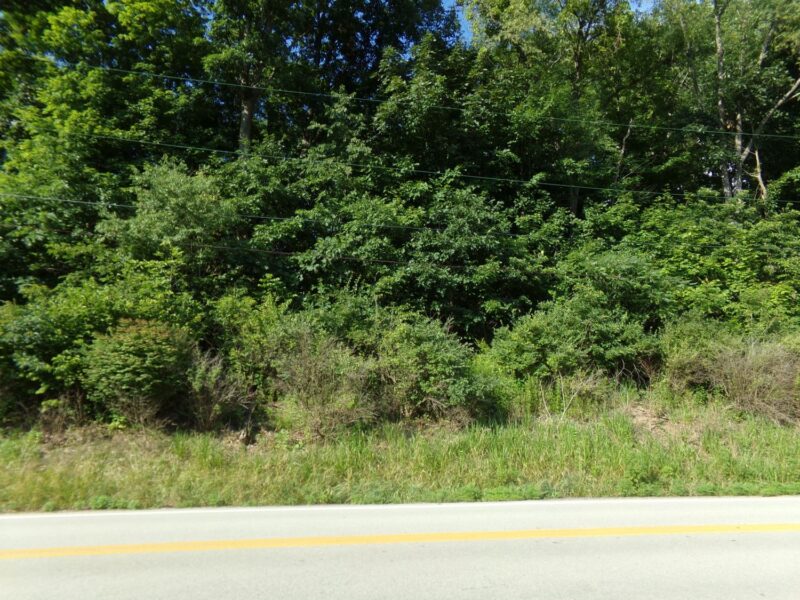 Lot 17 Wildlife Lodge ROAD — photo 5