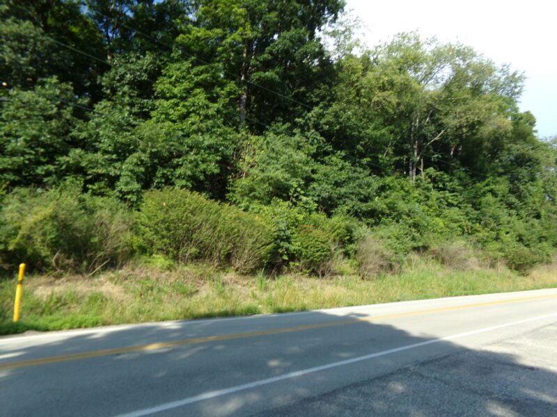 Lot 17 Wildlife Lodge ROAD — photo 7