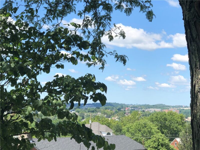 63 ROOSEVELT DR — photo 5