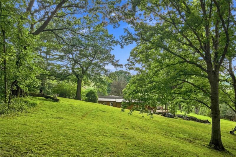 58 Dairy Rd — photo 3