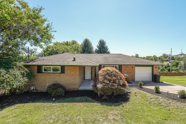 12 Jane — photo 1