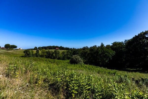 0 Young Road — photo 4
