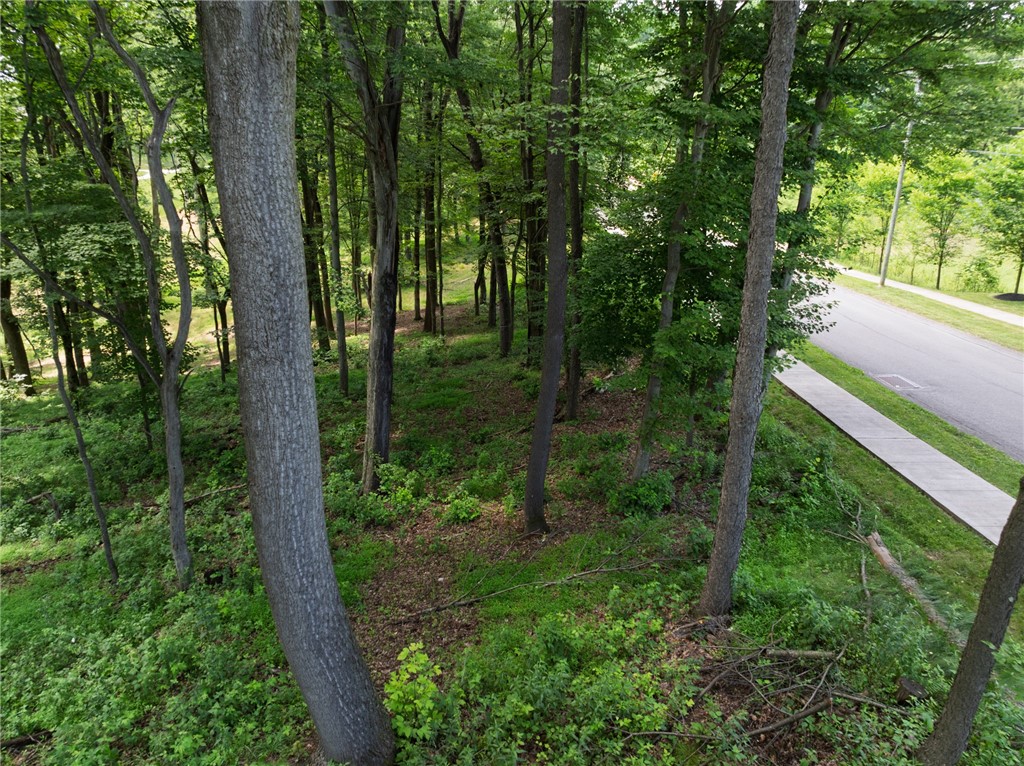 805 Mount Pleasant Rd — photo 1