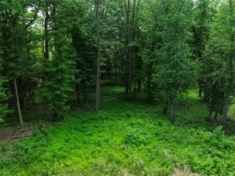 805 Mount Pleasant Rd — photo 4
