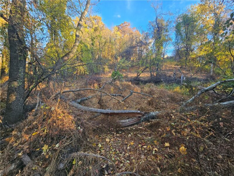 0 Sycamore Rd — photo 4
