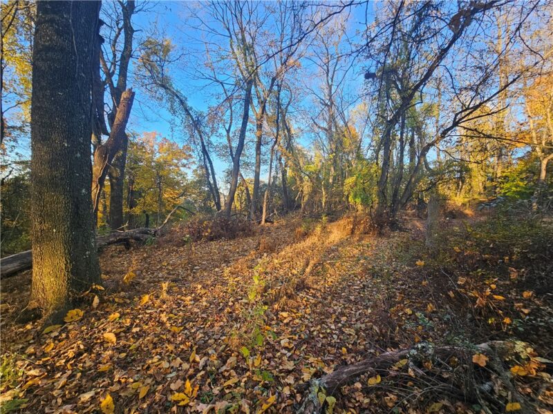 0 Sycamore Rd — photo 5