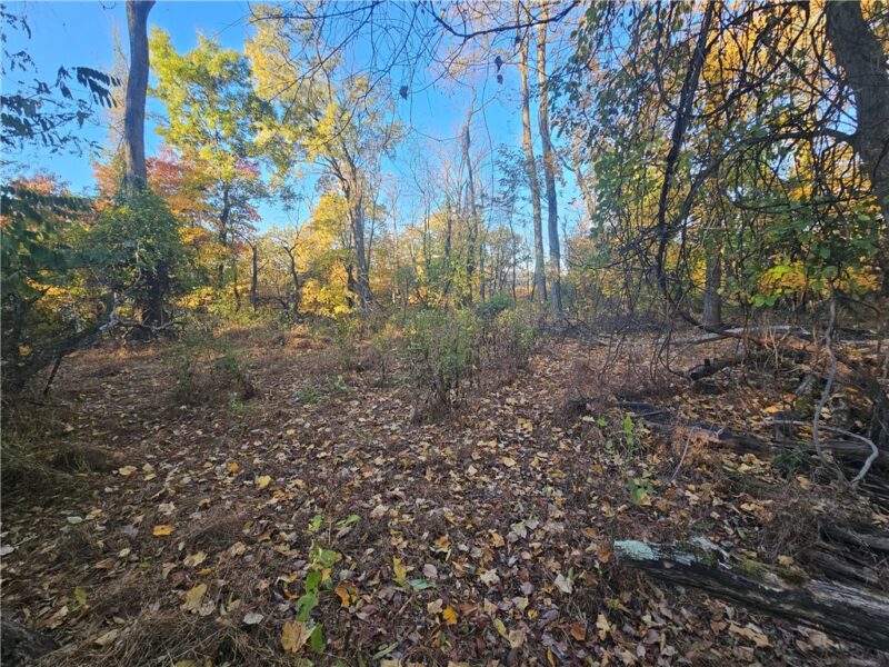 0 Sycamore Rd — photo 7
