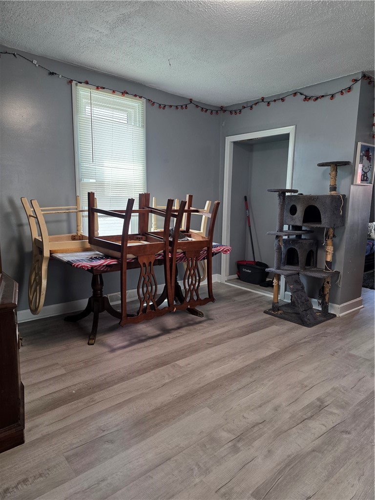 313 Mitchell Ave — photo 4