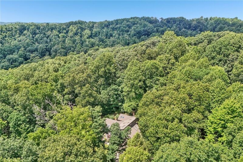 1099 Davis Road — photo 4