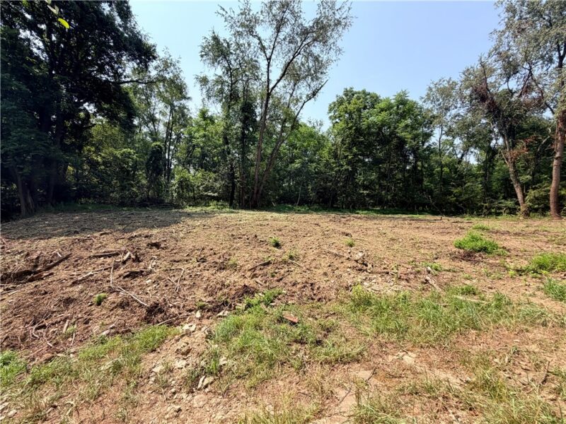 348 Rich Hill Road — photo 4