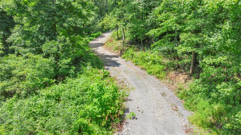 . Bauer Rd — photo 6