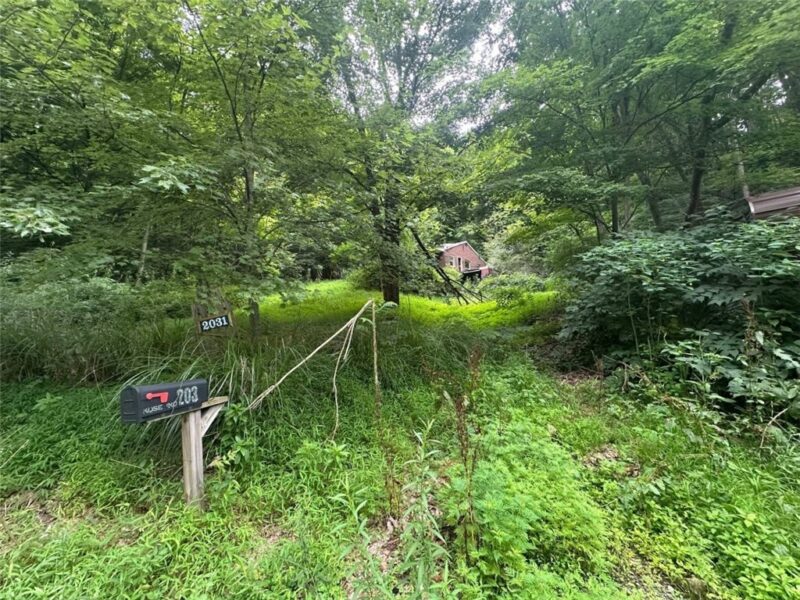 2031 Riddle Run Rd — photo 5