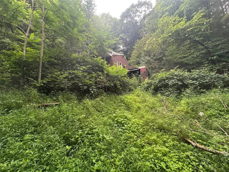 2031 Riddle Run Rd — photo 6