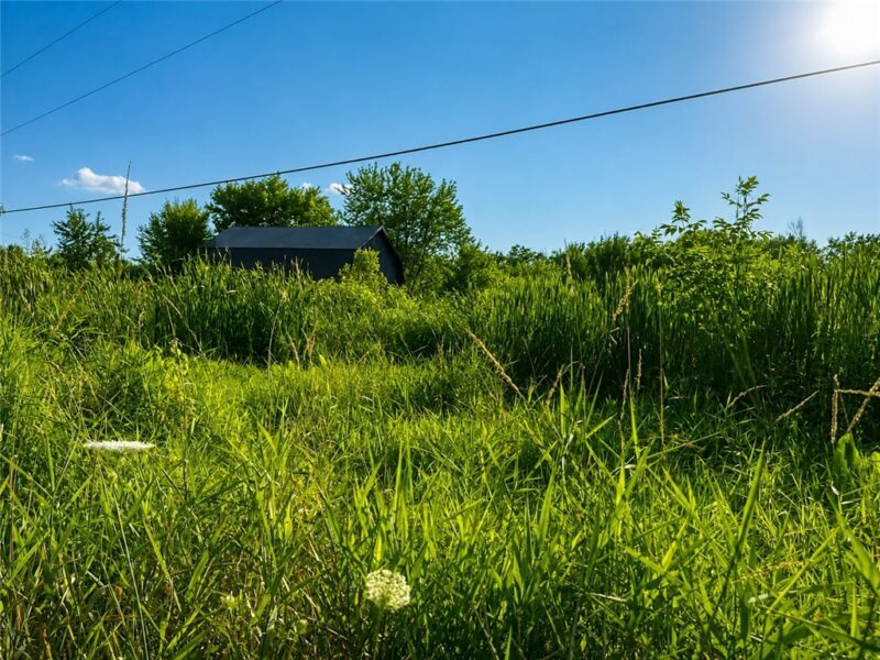 518 Shadyrest Rd — photo 8