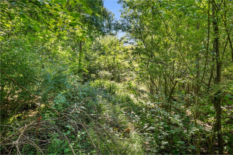 Lot 2 McMorran Rd — photo 5