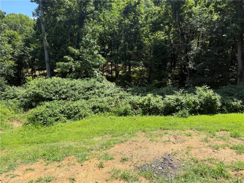 232 Sunny Hill Drive — photo 5