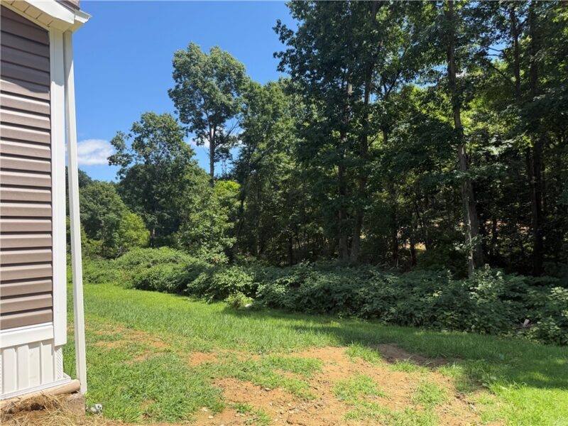 232 Sunny Hill Drive — photo 6