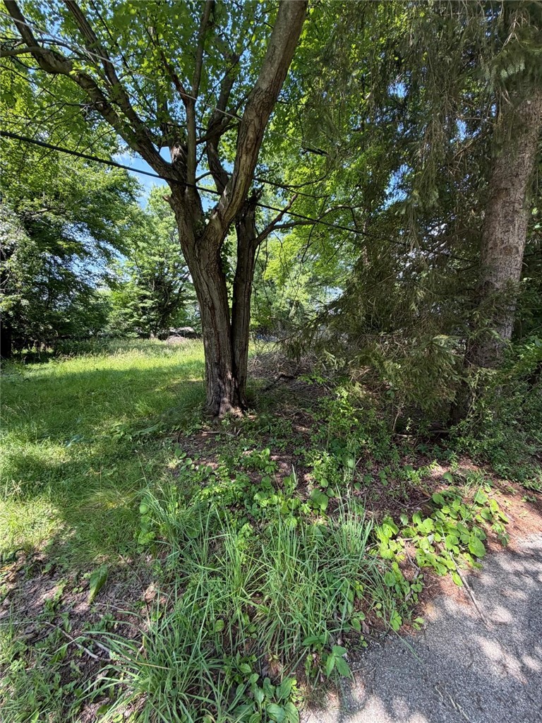 715 E Meyer Ave — photo 4
