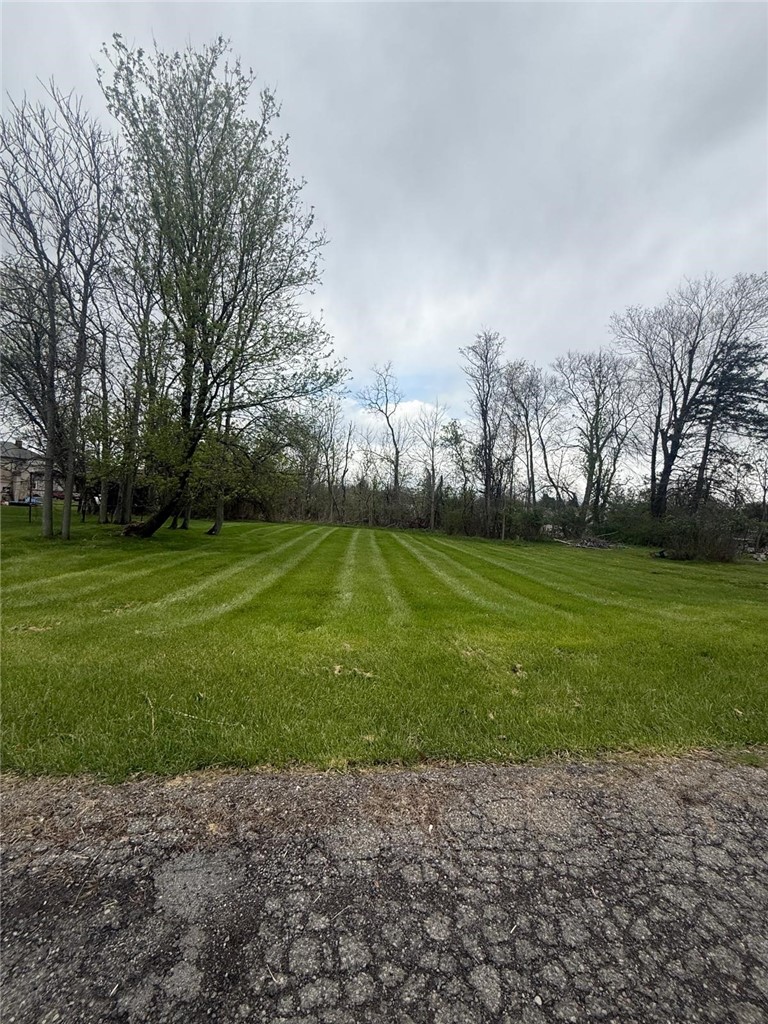 1210 Francis Pl — photo 4