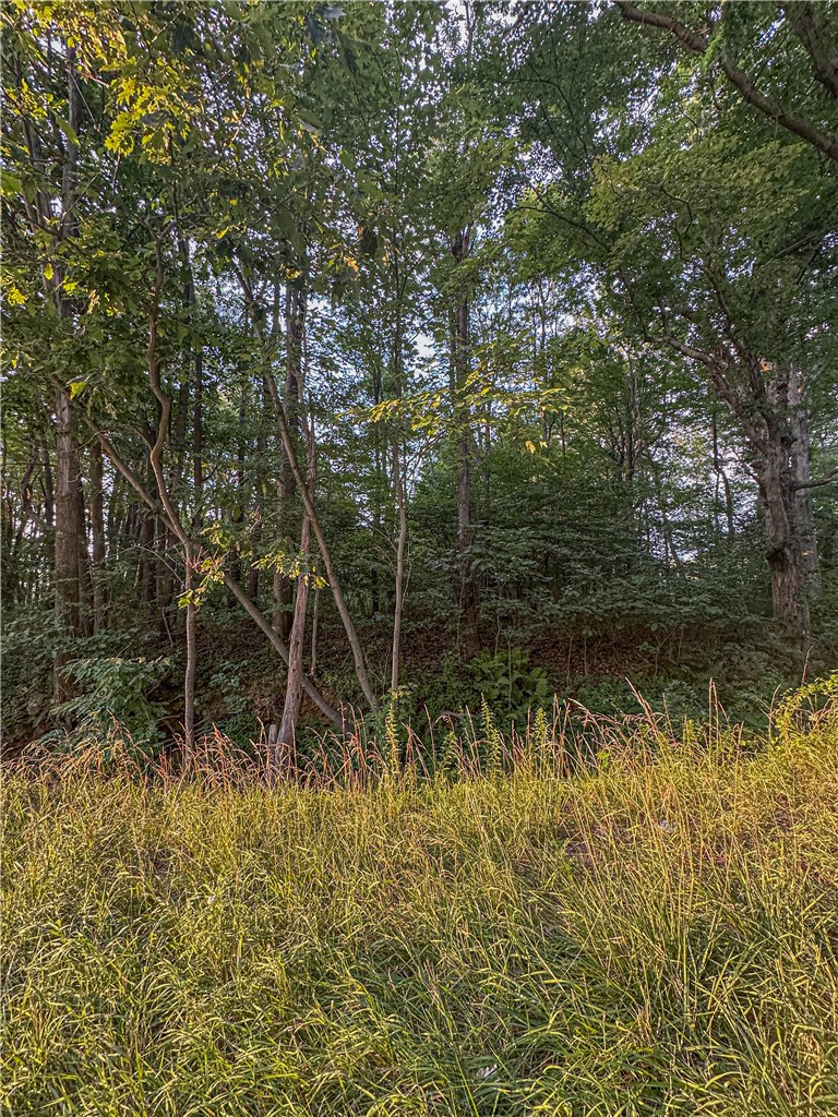 000 National Pike — photo 3
