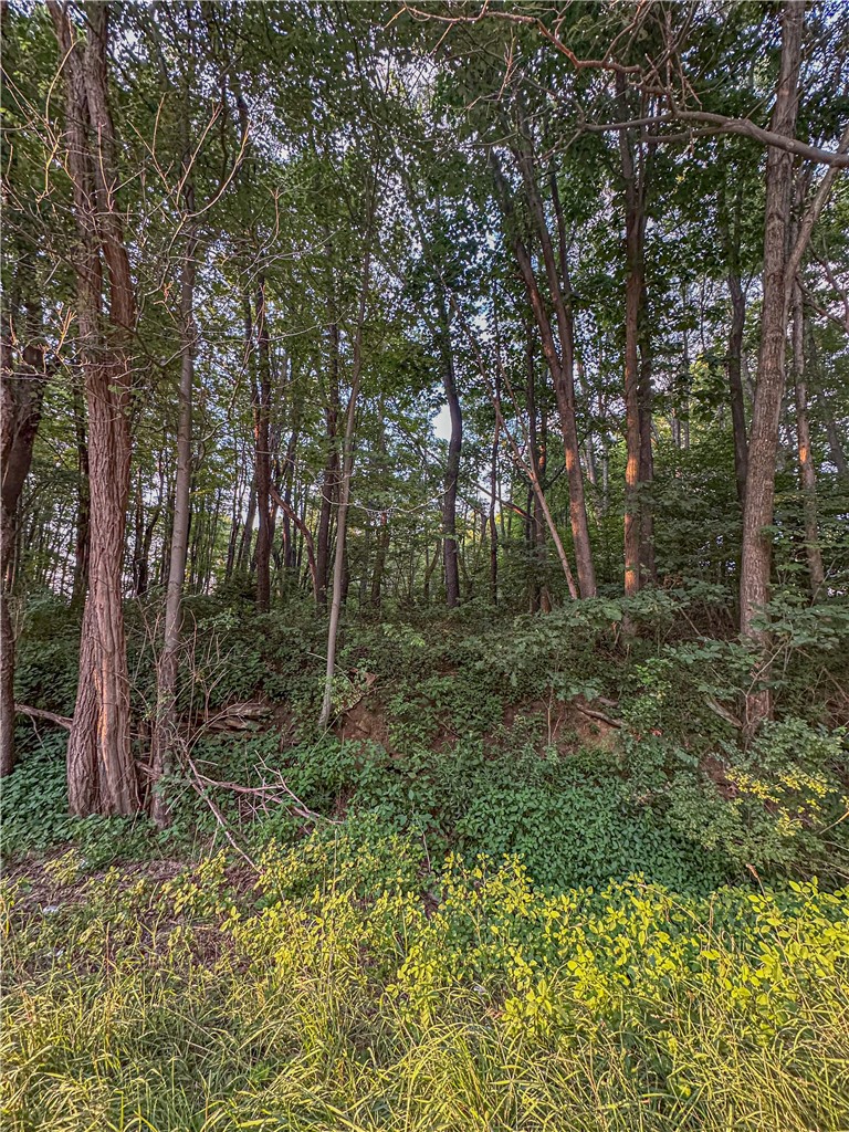 000 National Pike — photo 5