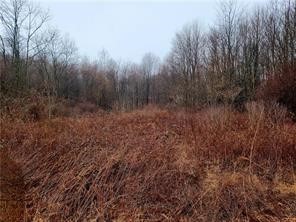 Lot 1 Rt.19/Perry Hwy — photo 6