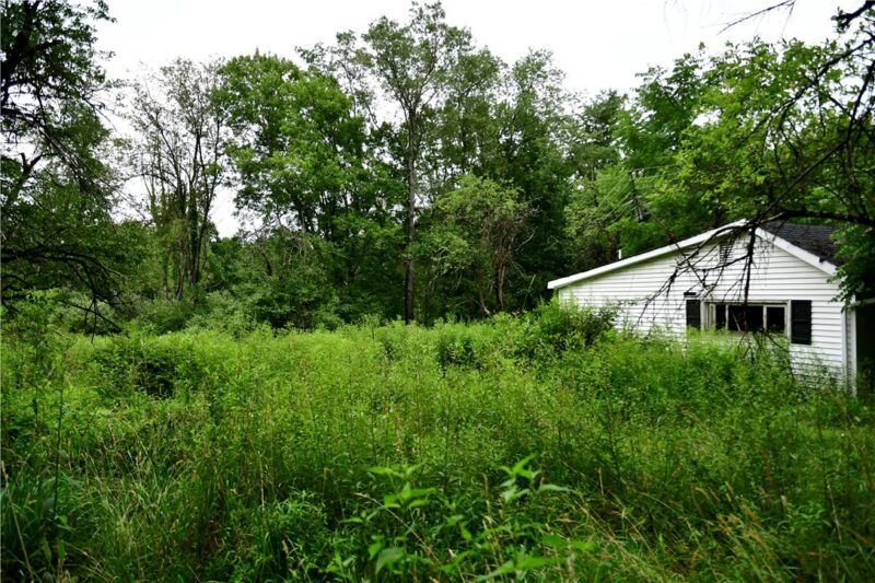 309 Hook City Rd — photo 6