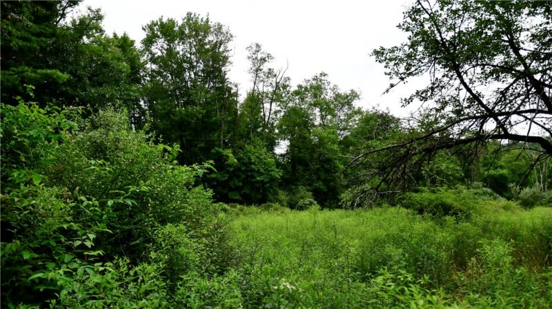 309 Hook City Rd — photo 7