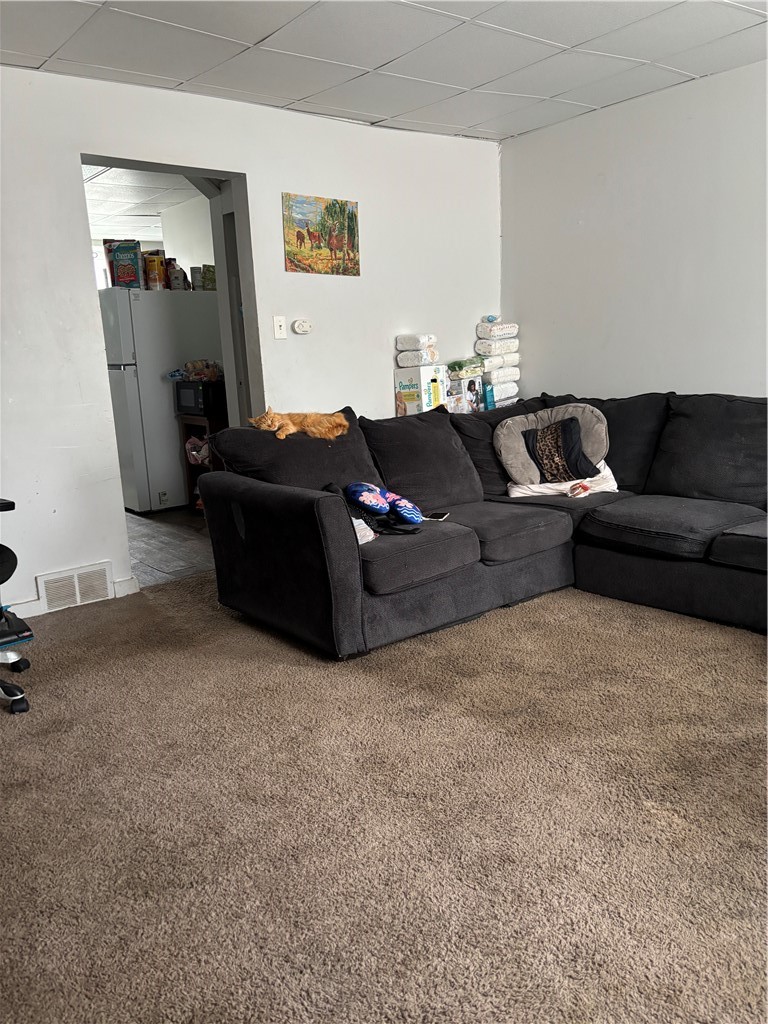 123 Shingiss Street — photo 7