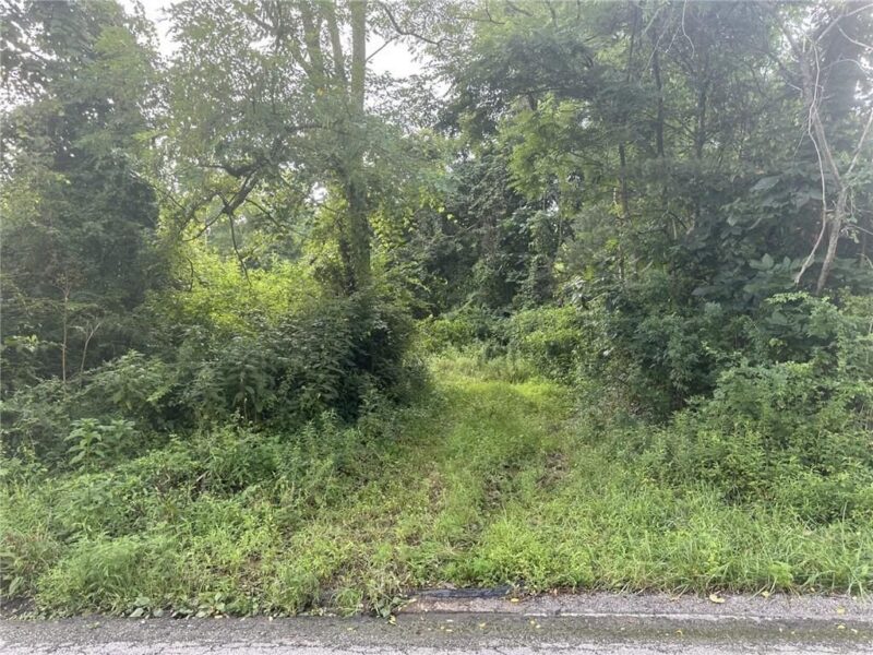 360 Old Abers Creek Rd — photo 3