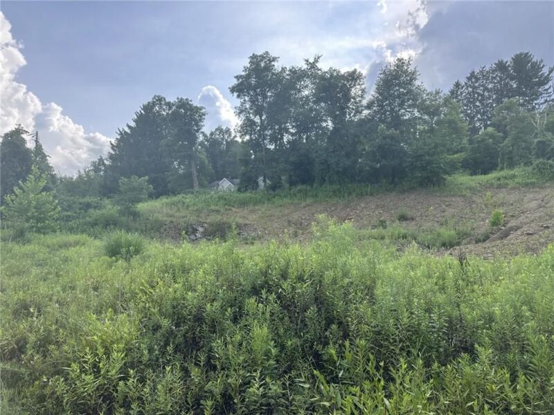 360 Old Abers Creek Rd — photo 4