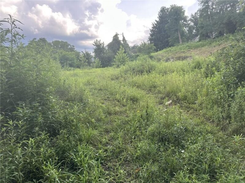 360 Old Abers Creek Rd — photo 5