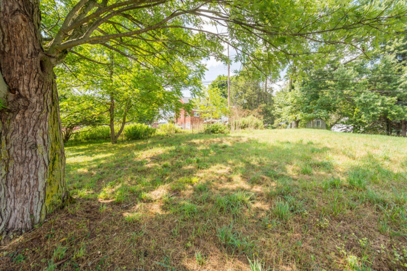 163 Senate Drive — photo 5