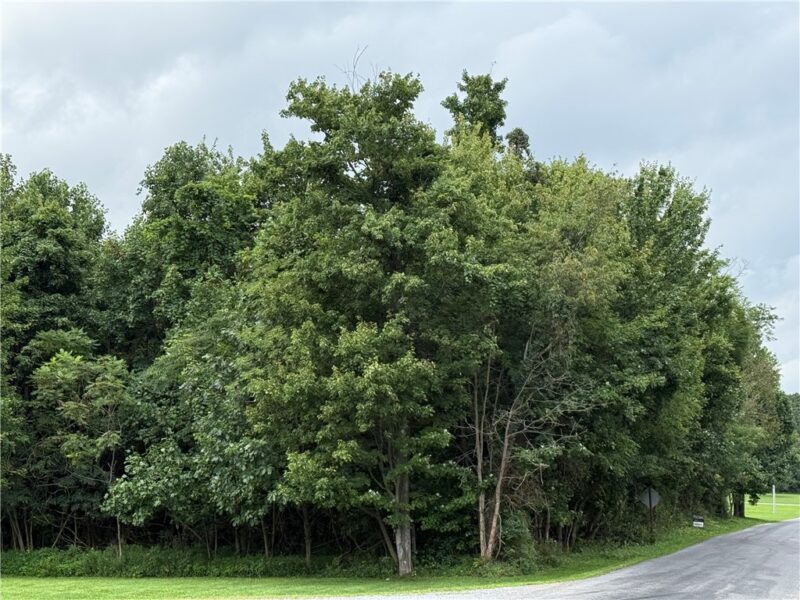 000 Shellbark Rd — photo 3