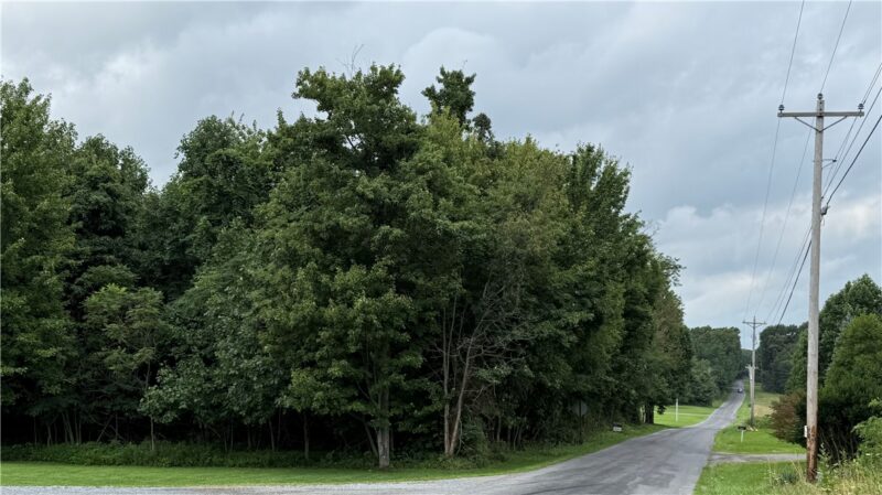 000 Shellbark Rd — photo 4