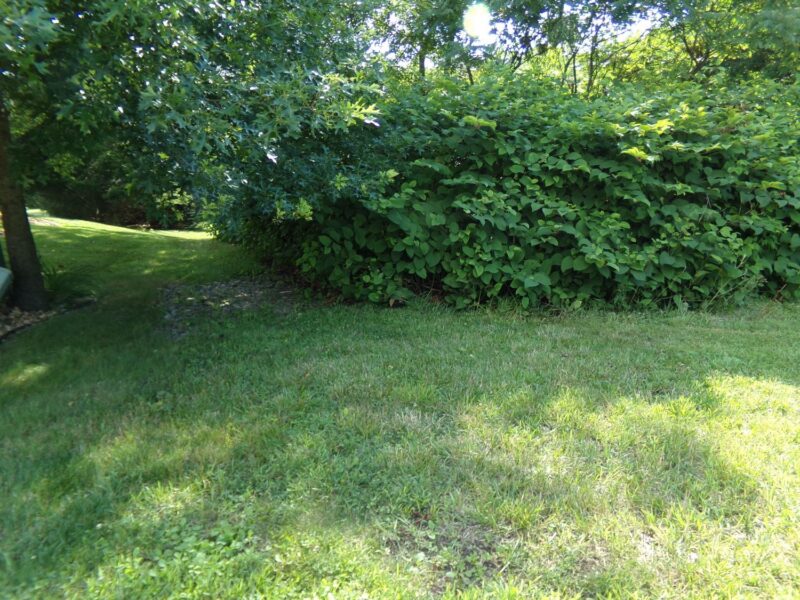 Lot 9 Applewood Dr — photo 2
