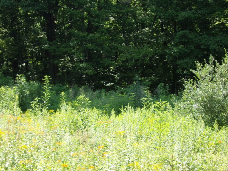 Lot 9 Applewood Dr — photo 3