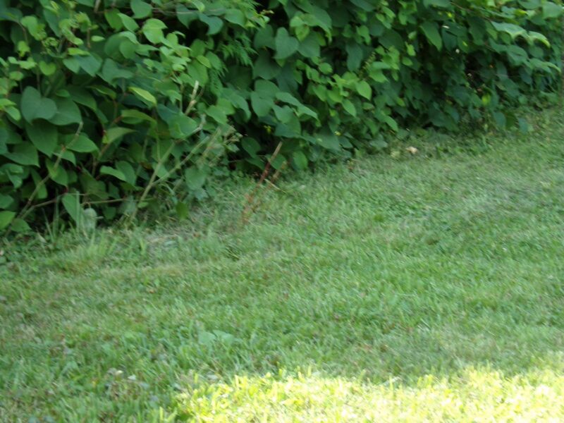 Lot 9 Applewood Dr — photo 4
