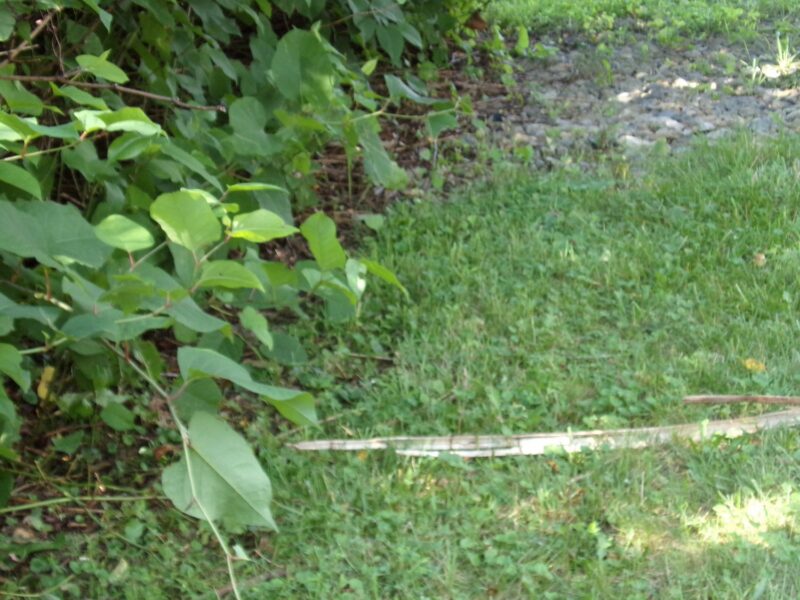 Lot 9 Applewood Dr — photo 5