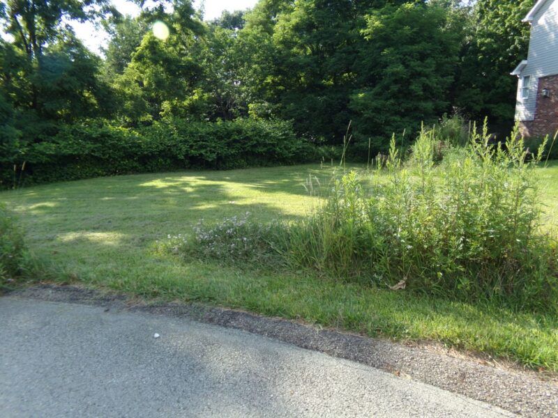 Lot 10 Applewood Drive — photo 3