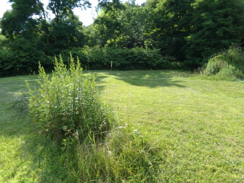 Lot 10 Applewood Drive — photo 4