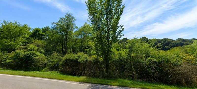 Lot#1343-L-00260 Big Sewickley Creek Rd — photo 3