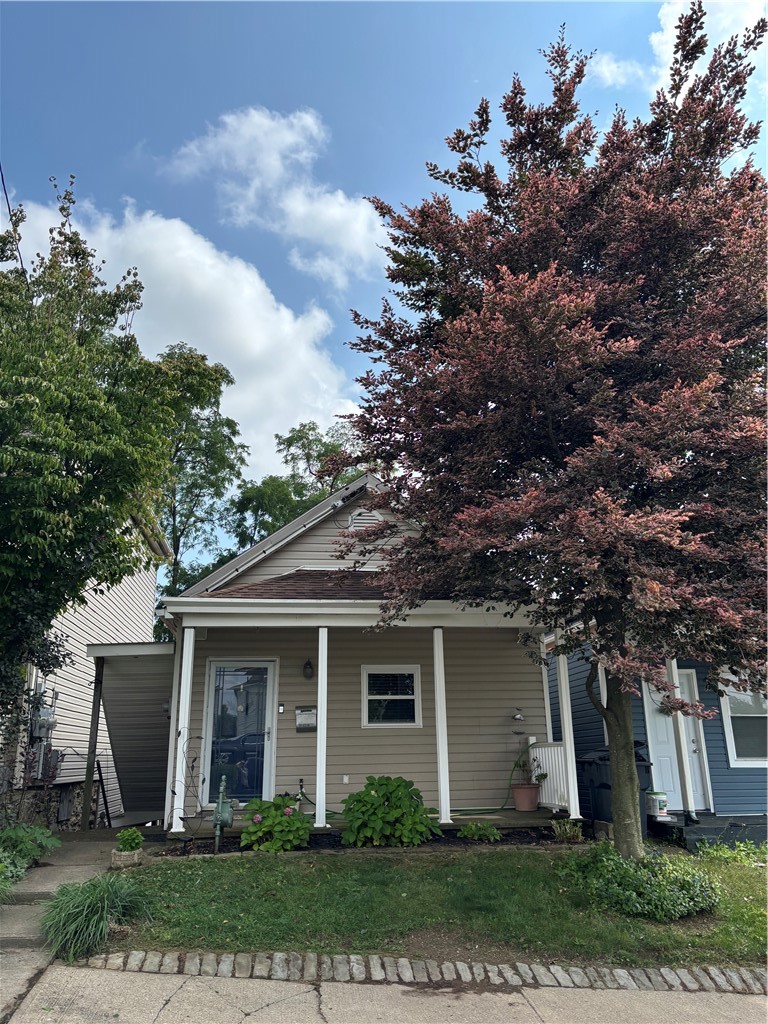 533 Finley Ave — photo 1